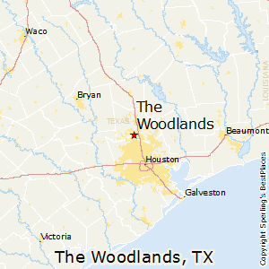 The Woodlands TX realtor