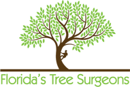 tree surgeons essex